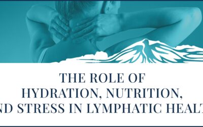 The Role of Hydration, Nutrition, and Stress in Lymphatic Health